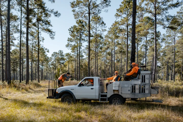 European Driven Shoot