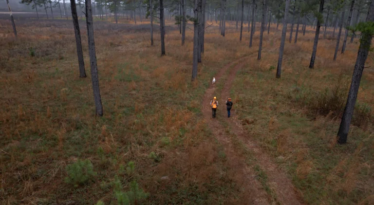 DJI_0023
